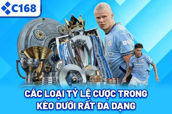 Các loại tỷ lệ cược trong kèo dưới rất đa dạng