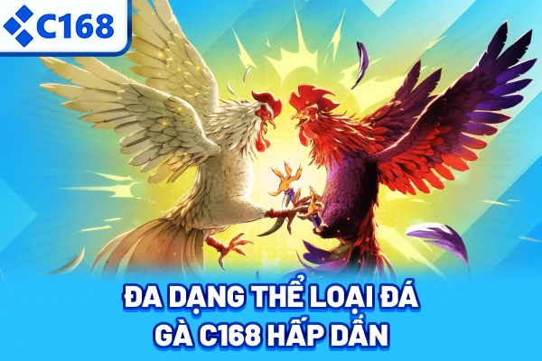 Đa dạng thể loại đá gà C168 hấp dẫn