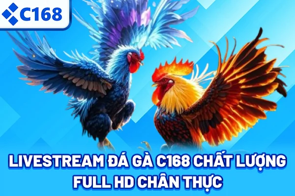 Livestream đá gà C168 chất lượng Full HD chân thực