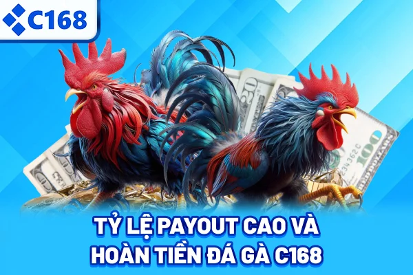 Tỷ lệ payout cao và hoàn tiền đá gà C168